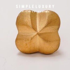 Brand New Anthropologie  Petite Metallic Knobs